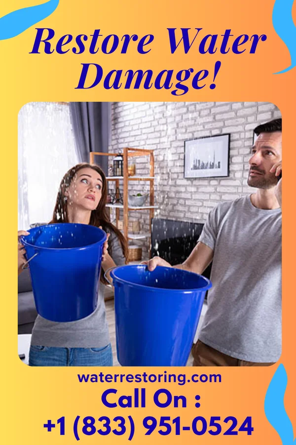 water restoration Total Damage Recovery & Associates Mitchell