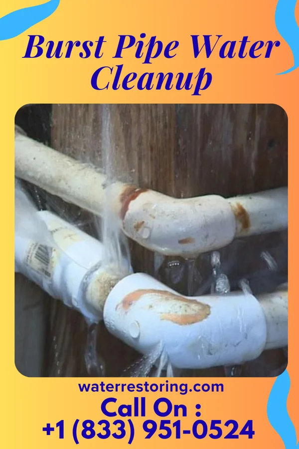 Burst Pipe Water Cleanup in Mitchell, IN