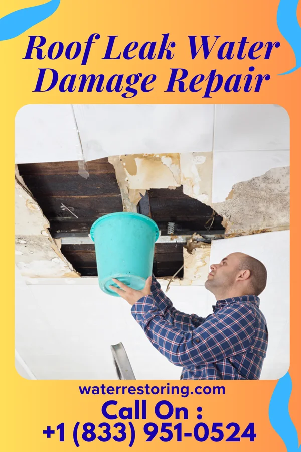 Roof Leak Water Damage Repair in Mitchell, IN
