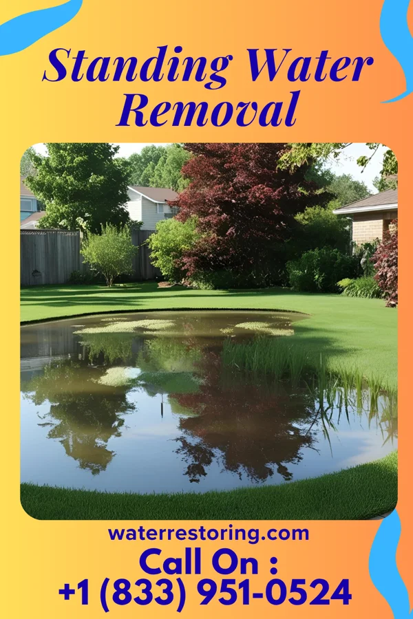 Standing Water Removal in Mitchell, IN
